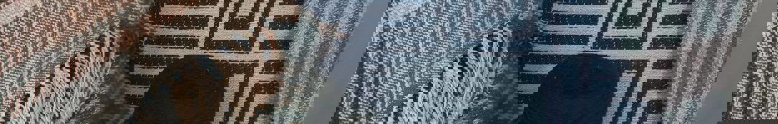 Weaving Exhibition 1 (1)