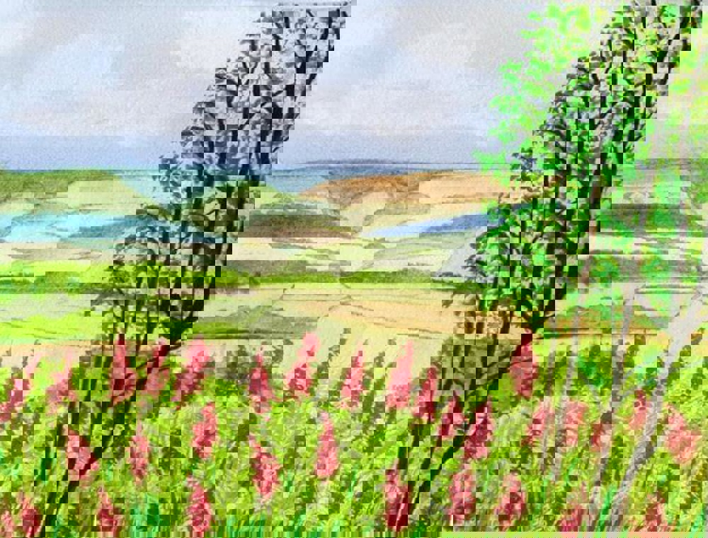 Watercolour painting of trees in field