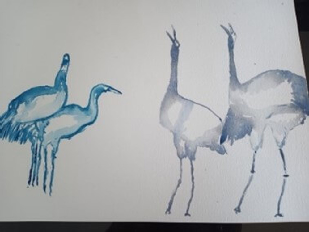 Watercolour painting of birds