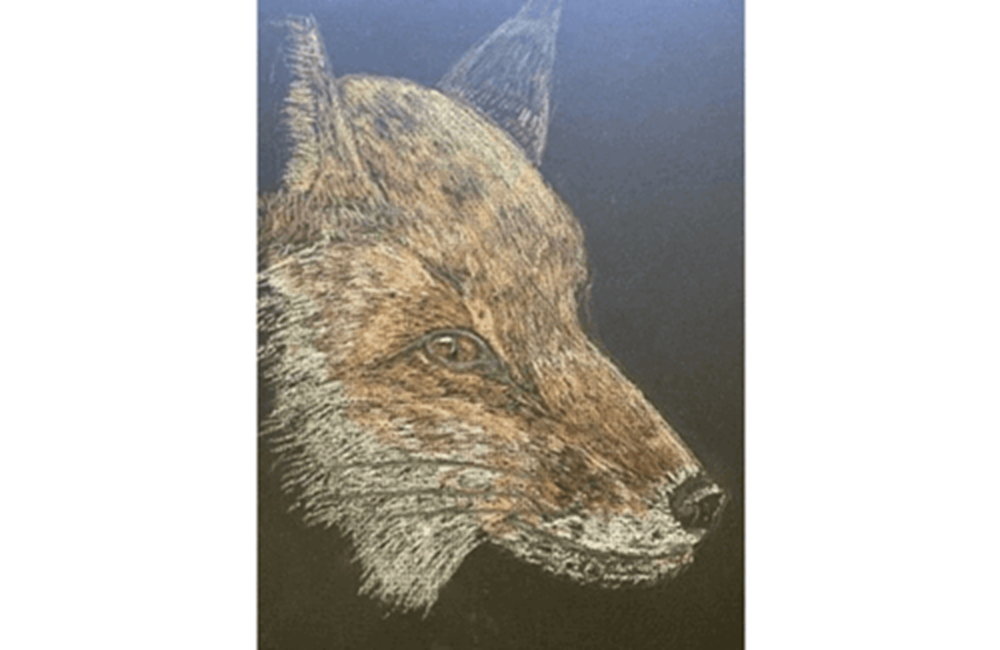 Drawing of fox