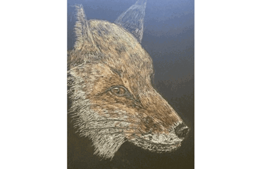 Drawing of fox