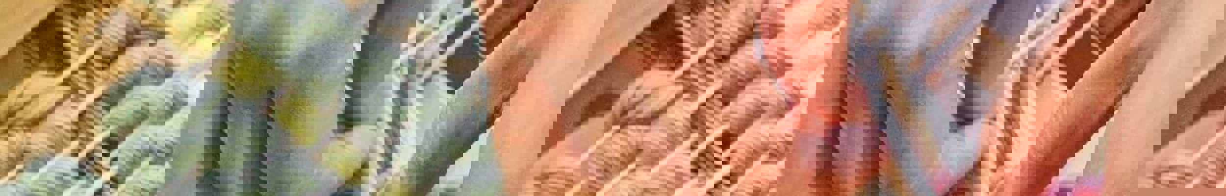 Two people weaving using a hand loom