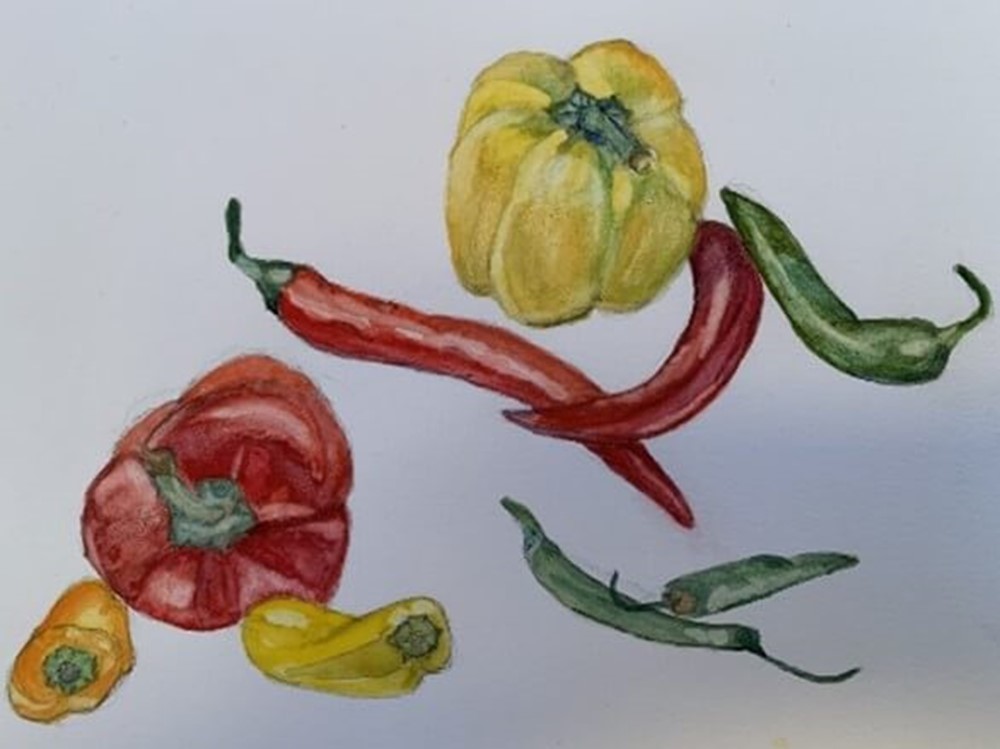 Watercolour painting of peppers
