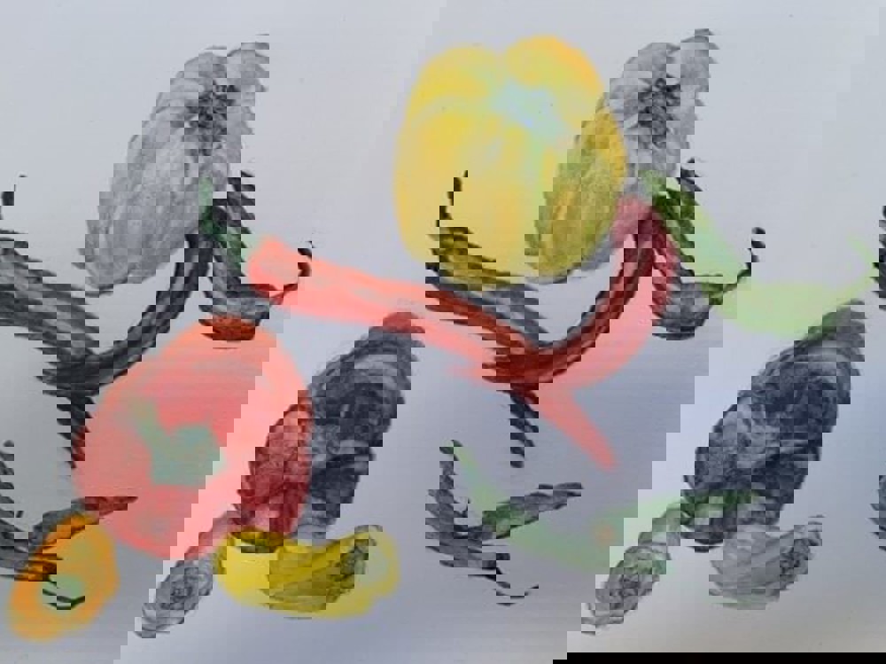 Watercolour painting of peppers