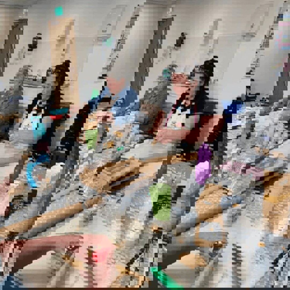 Learners cutting pasta