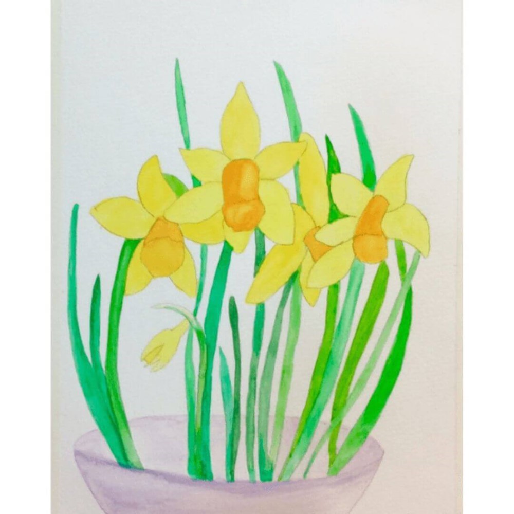 Learner watercolour painting of daffodils