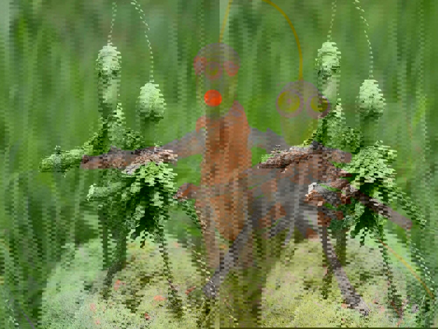 Craft bugs made out of sticks