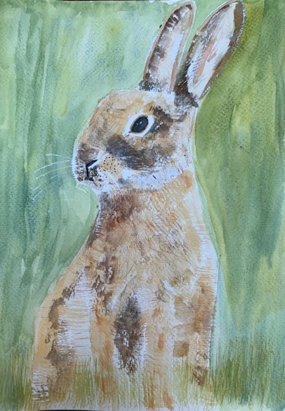Learner painting of a hare