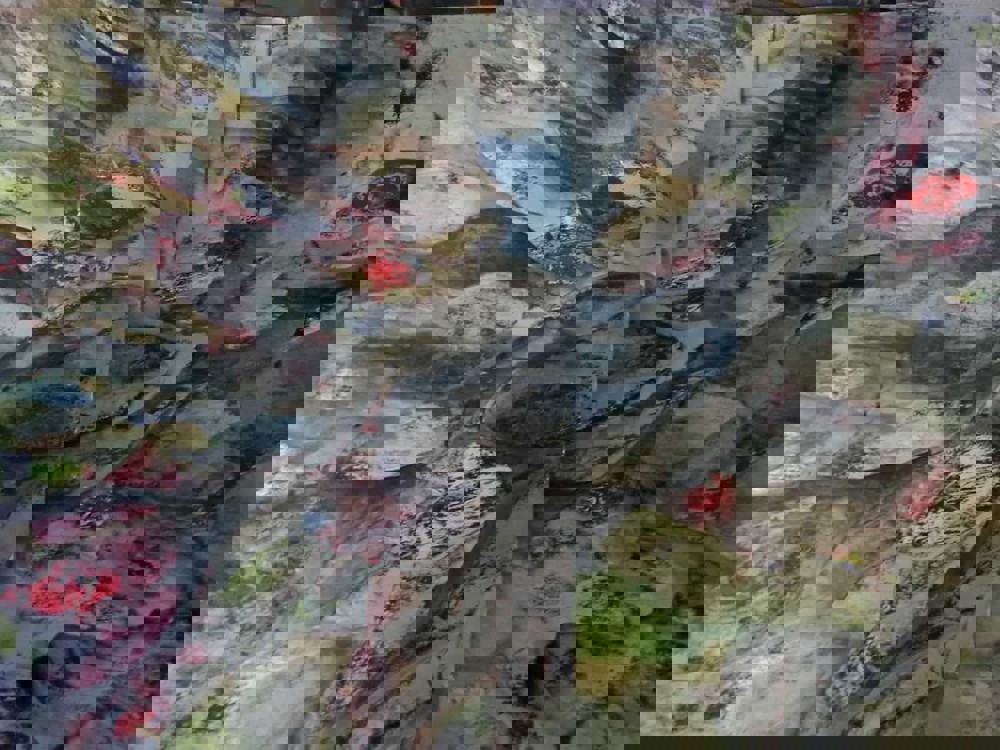 Abstract painting