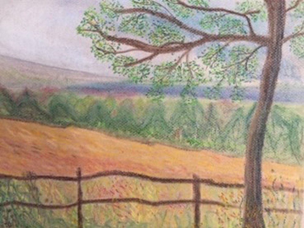 Drawing of field