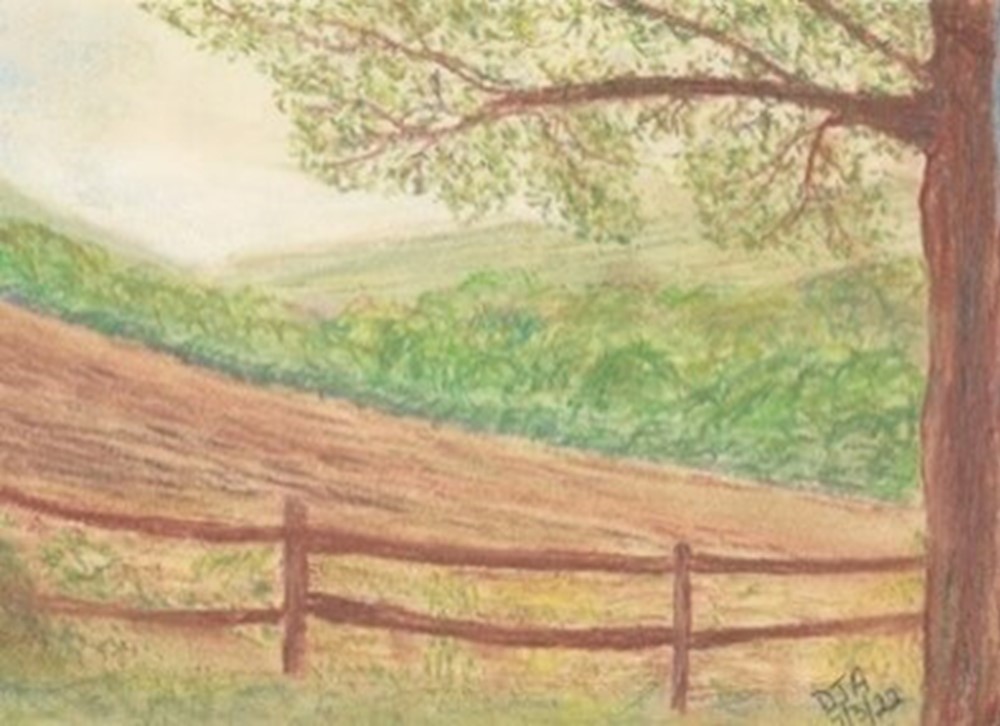 sketch of fields