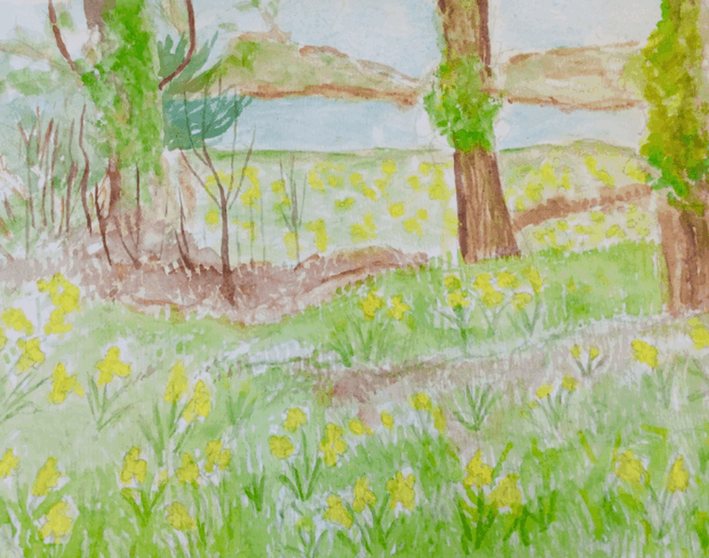 Watercolour fields 