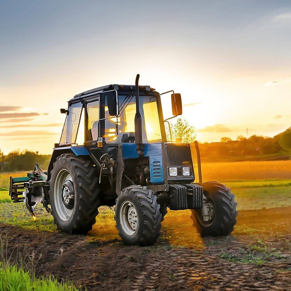 Agri Food (1)