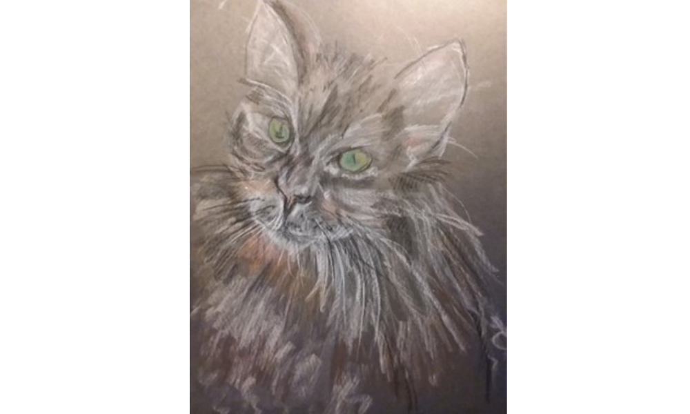 Drawing of a cat