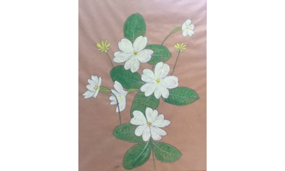 Drawing of flowers