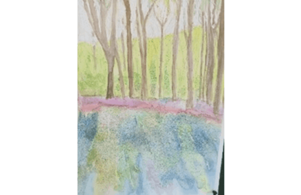 Drawing of trees and flowers in woods