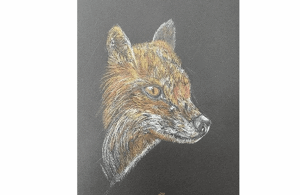 Drawing of fox
