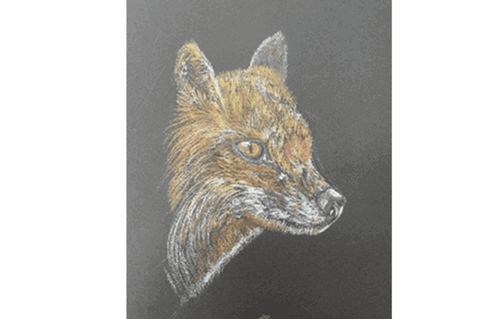 Drawing of fox