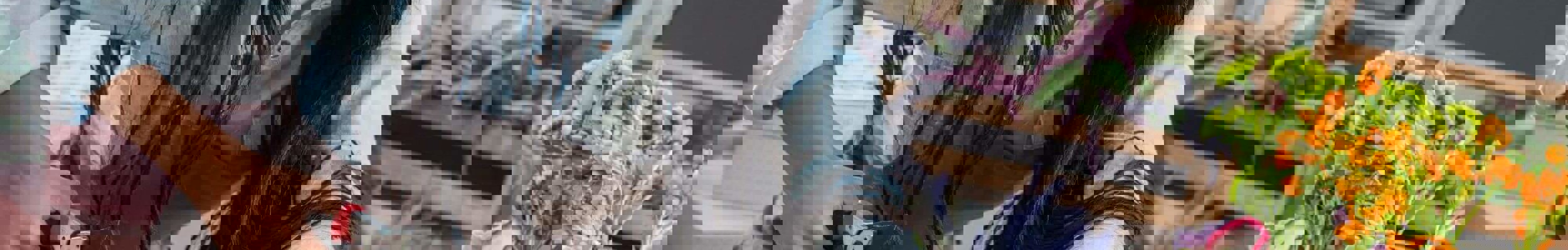 Woman cutting flowers