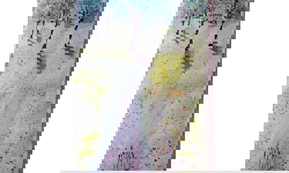 Watercolour image of flowers in field