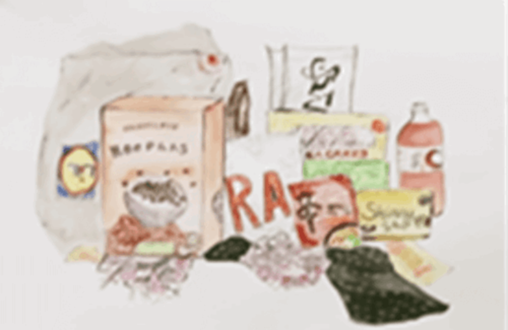 Drawing of food shopping
