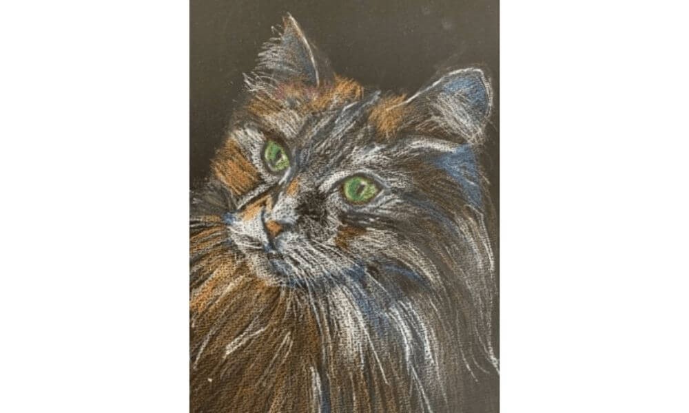 Drawing of a cat