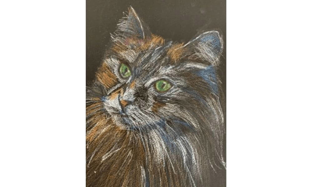 Drawing of a cat
