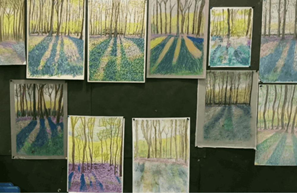 Selection of drawings of the woods