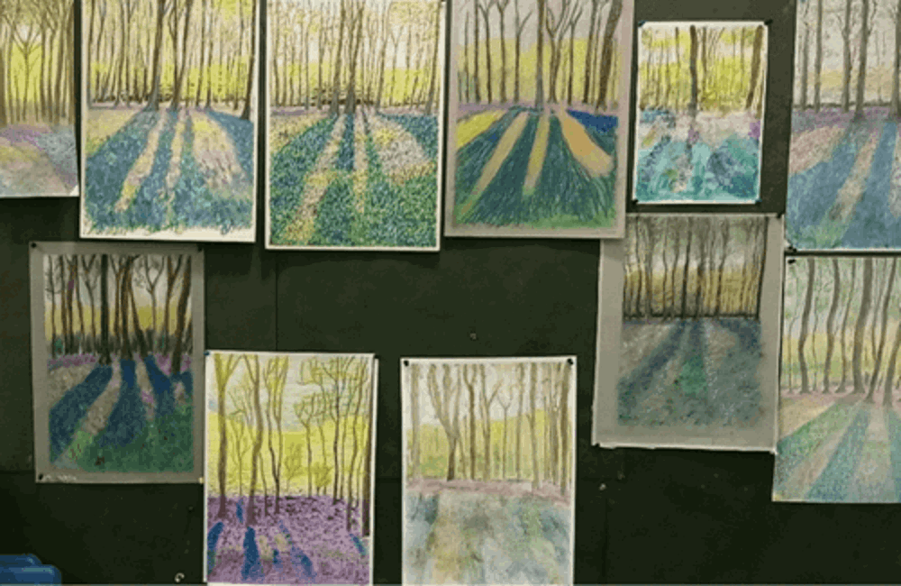 Selection of drawings of the woods