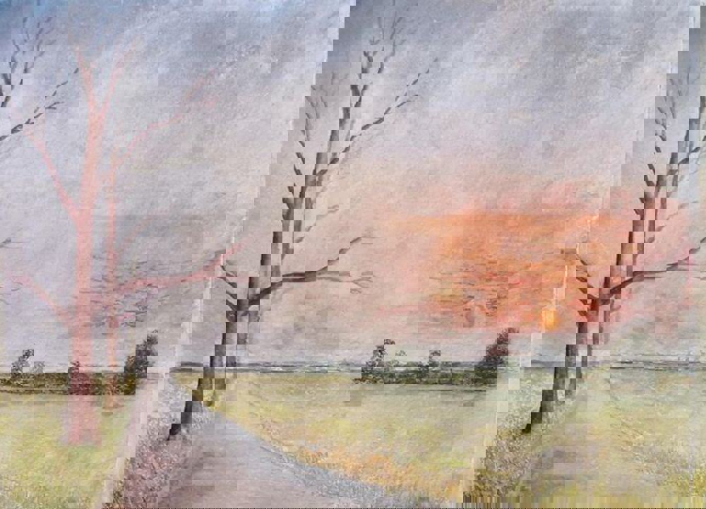 Watercolour painting of field