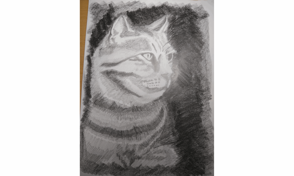 Sketching & Drawing (7) (1)