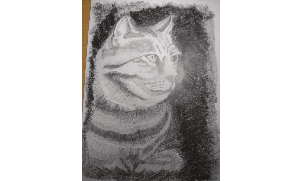 Sketching & Drawing (7) (1)