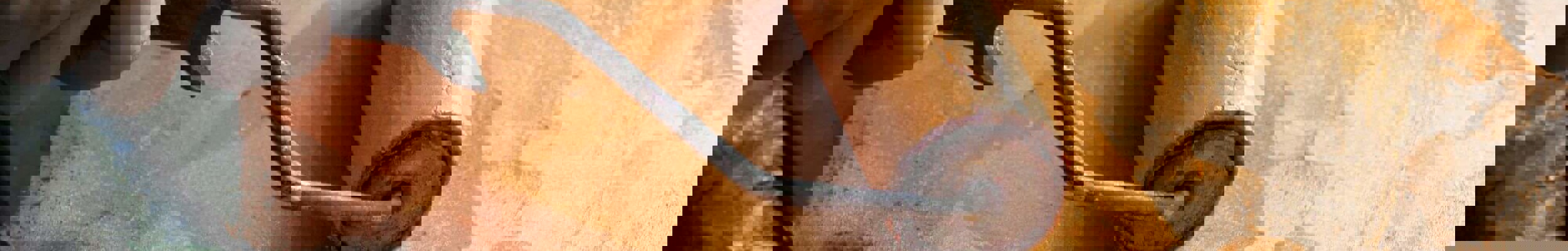 Rolling paint