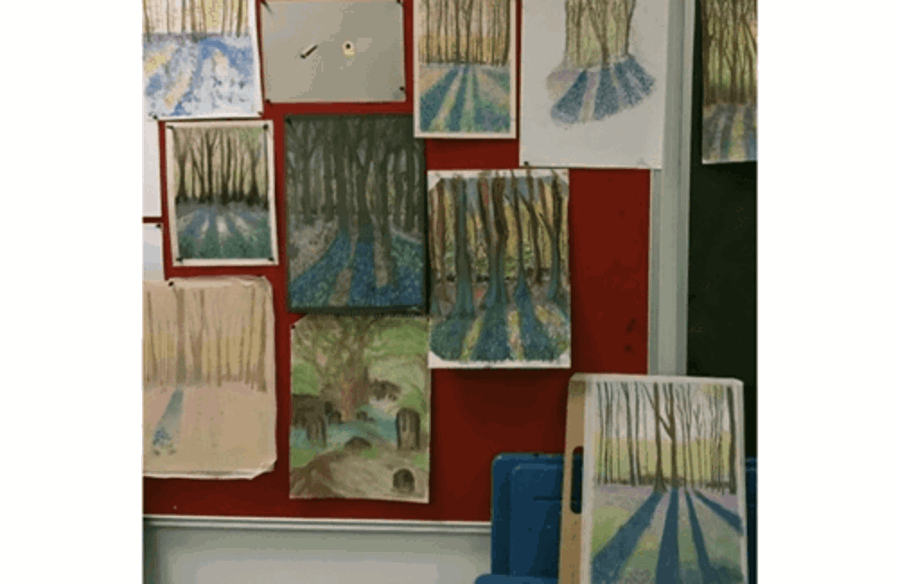 Selection of drawings of the woods
