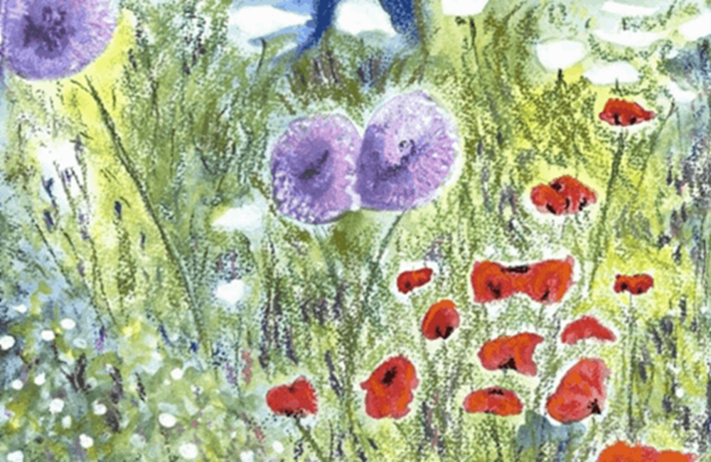Drawing of poppies in field