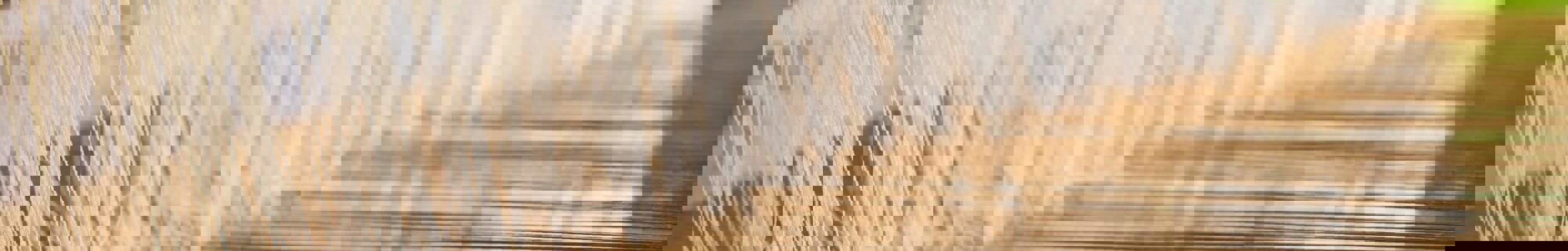 Weaving Kent Adult Education