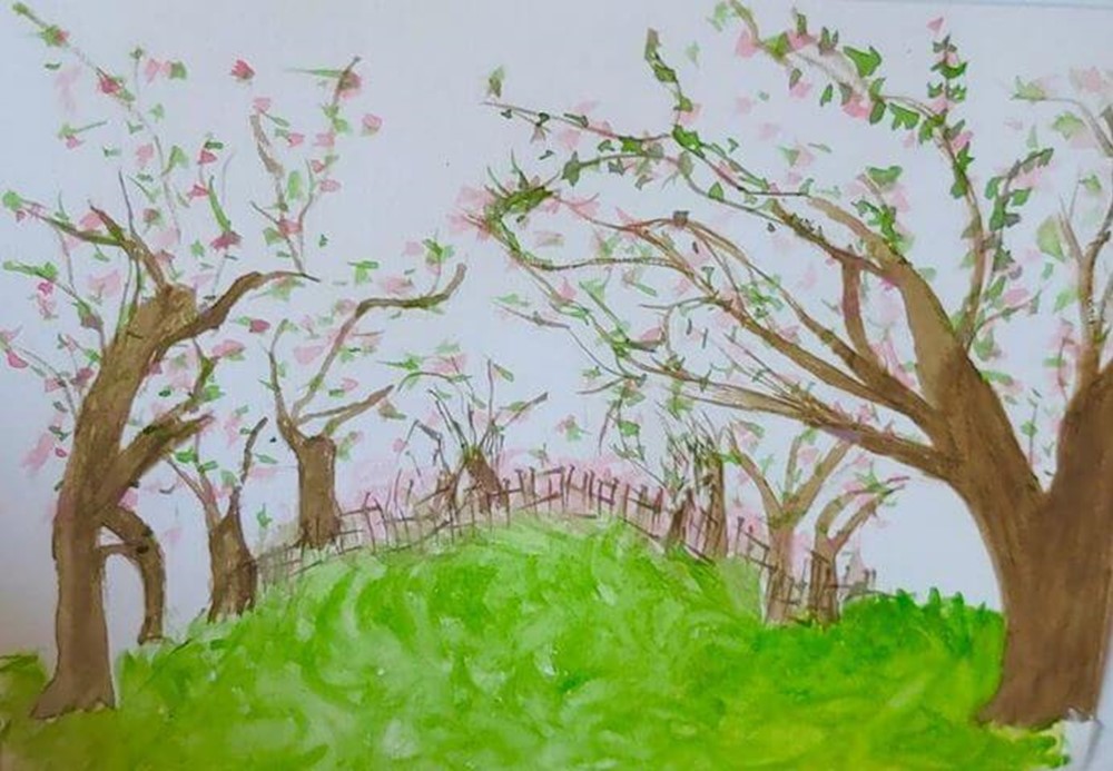 Watercolour painting of blossom trees
