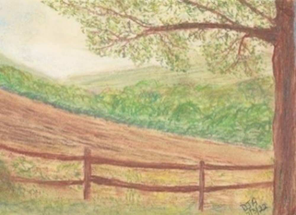 Drawing of field